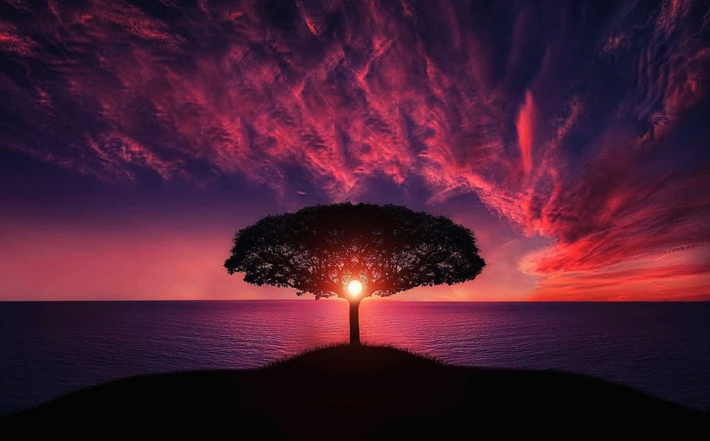 God's grace